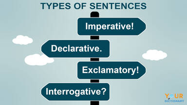 Types of Sentences - Class 6 - Quizizz