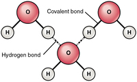 chemical bonds - Class 1 - Quizizz