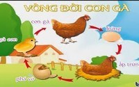 lạm phát - Lớp 1 - Quizizz