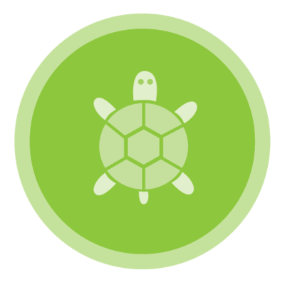 Python Tracy the Turtle codehs through Lesson 19 Quizizz