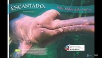 Encantado: Pink Dolphin of the Amazon. Reading Comprehension