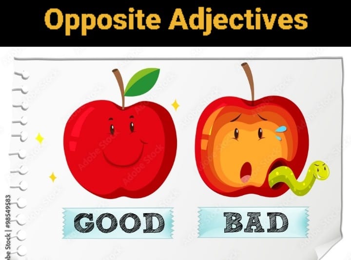 Opposite adjetives | 77 plays | Quizizz