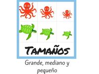 Comparando tamaño Tarjetas didácticas - Quizizz