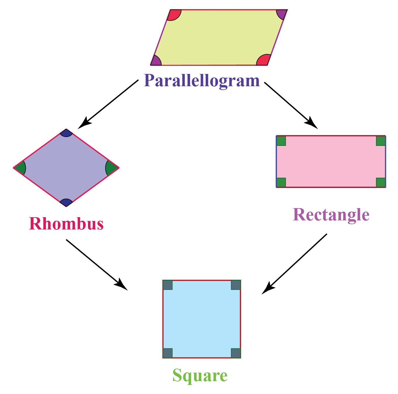 Special Cases of the Parallelogram | Quizizz