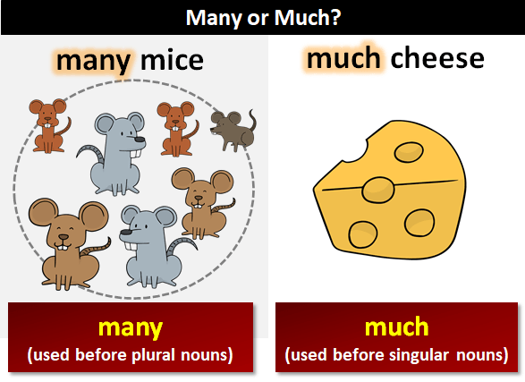 Quantifiers - 'many' Or 'much' | English - Quizizz