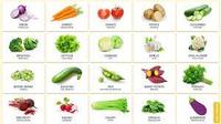 diagrama de células vegetales - Grado 7 - Quizizz