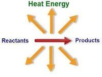 endothermic and exothermic processes - Class 8 - Quizizz