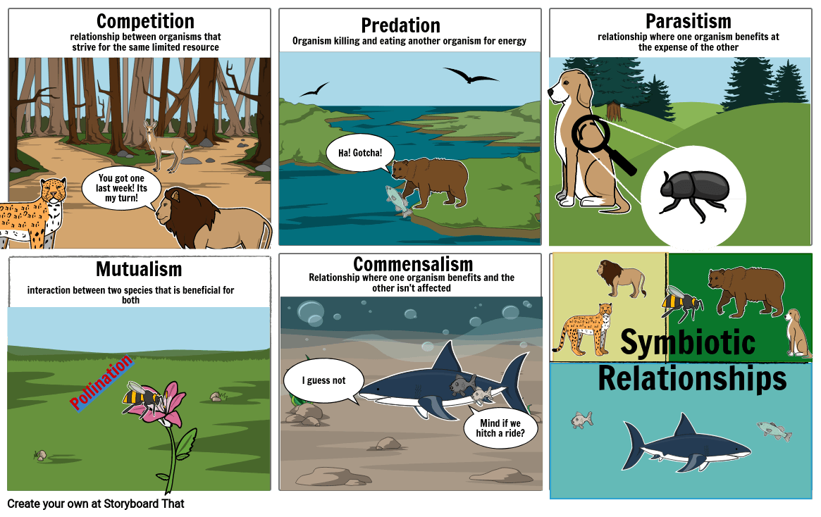 Ecological Relationship | Quizizz