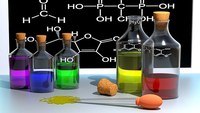 Biología del desarrollo - Grado 10 - Quizizz