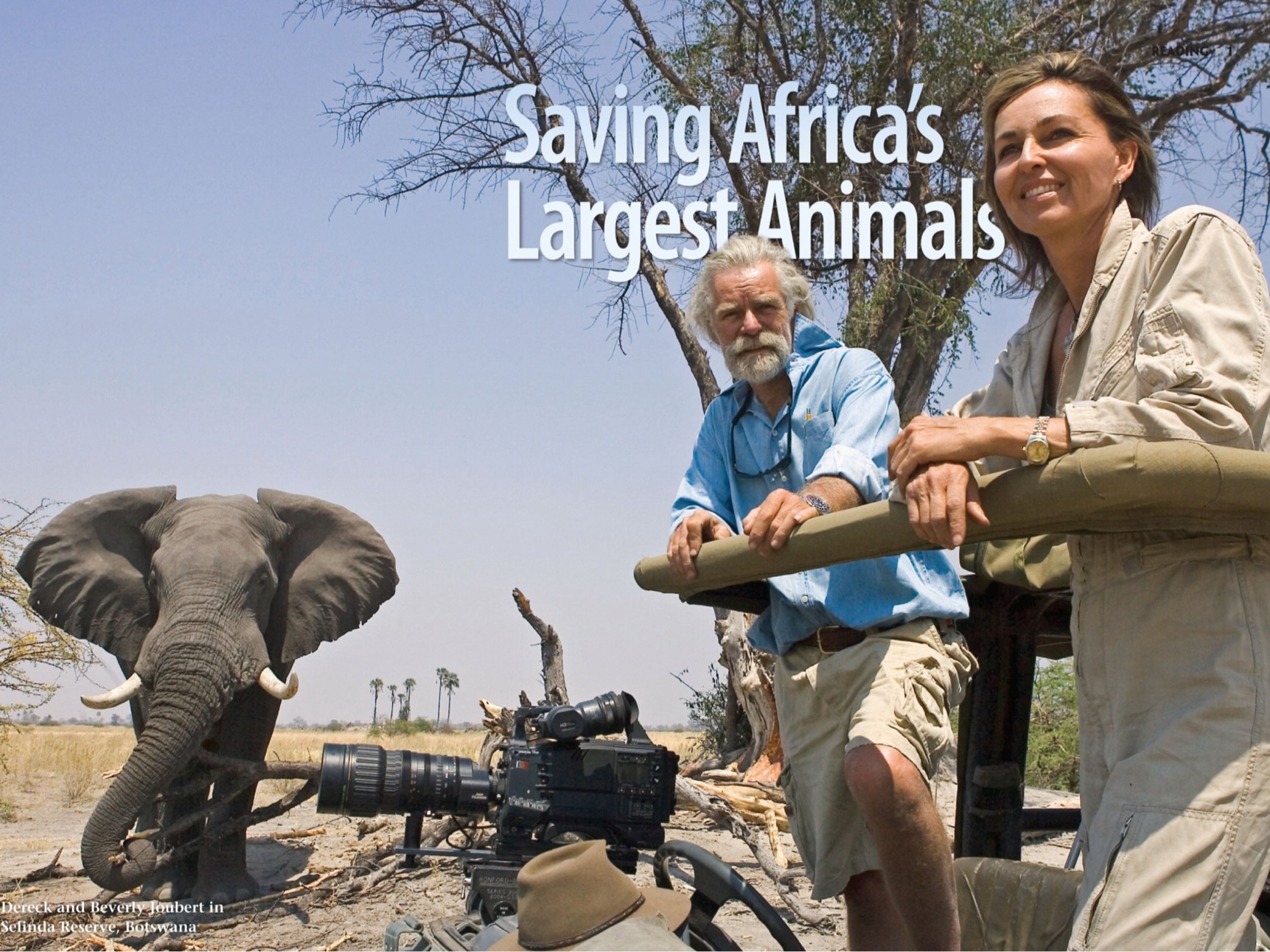 Saving Africa’s Largest Animals questions & answers for quizzes and