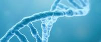 Mutación genética Tarjetas didácticas - Quizizz