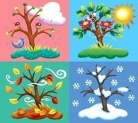 Weather & Seasons - Year 4 - Quizizz