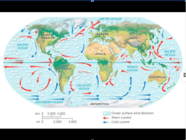 unit-6-lesson-2-circulation-in-earth-s-ocean-quizizz