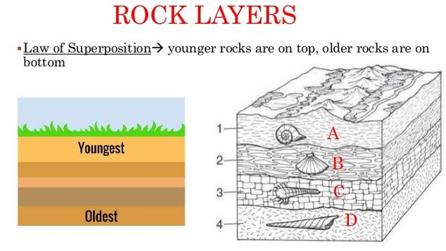 Oldest layers rock to youngest In which