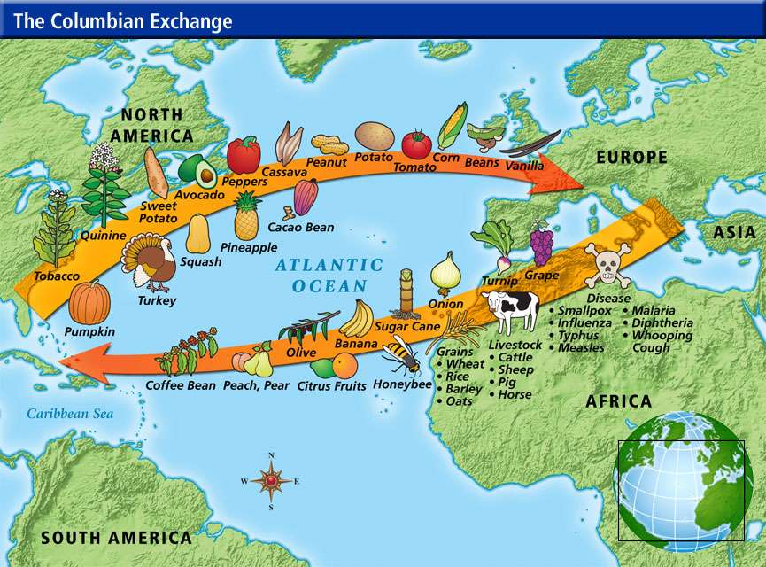 The Columbian Exchange Quiz