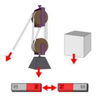 Forces and Interactions - Year 3 - Quizizz