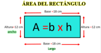 Área Tarjetas didácticas - Quizizz