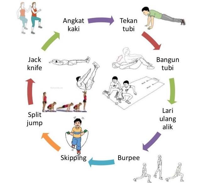 Kardiovaskular daya tahan 5 Olahraga