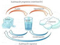 estados de la materia y fuerzas intermoleculares Tarjetas didácticas - Quizizz