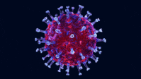 viruses - Year 3 - Quizizz