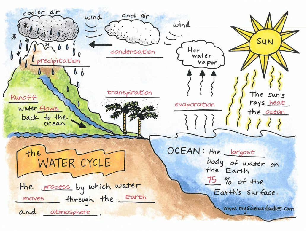 unit-4-water-cycle-and-weather-climate-science-quizizz