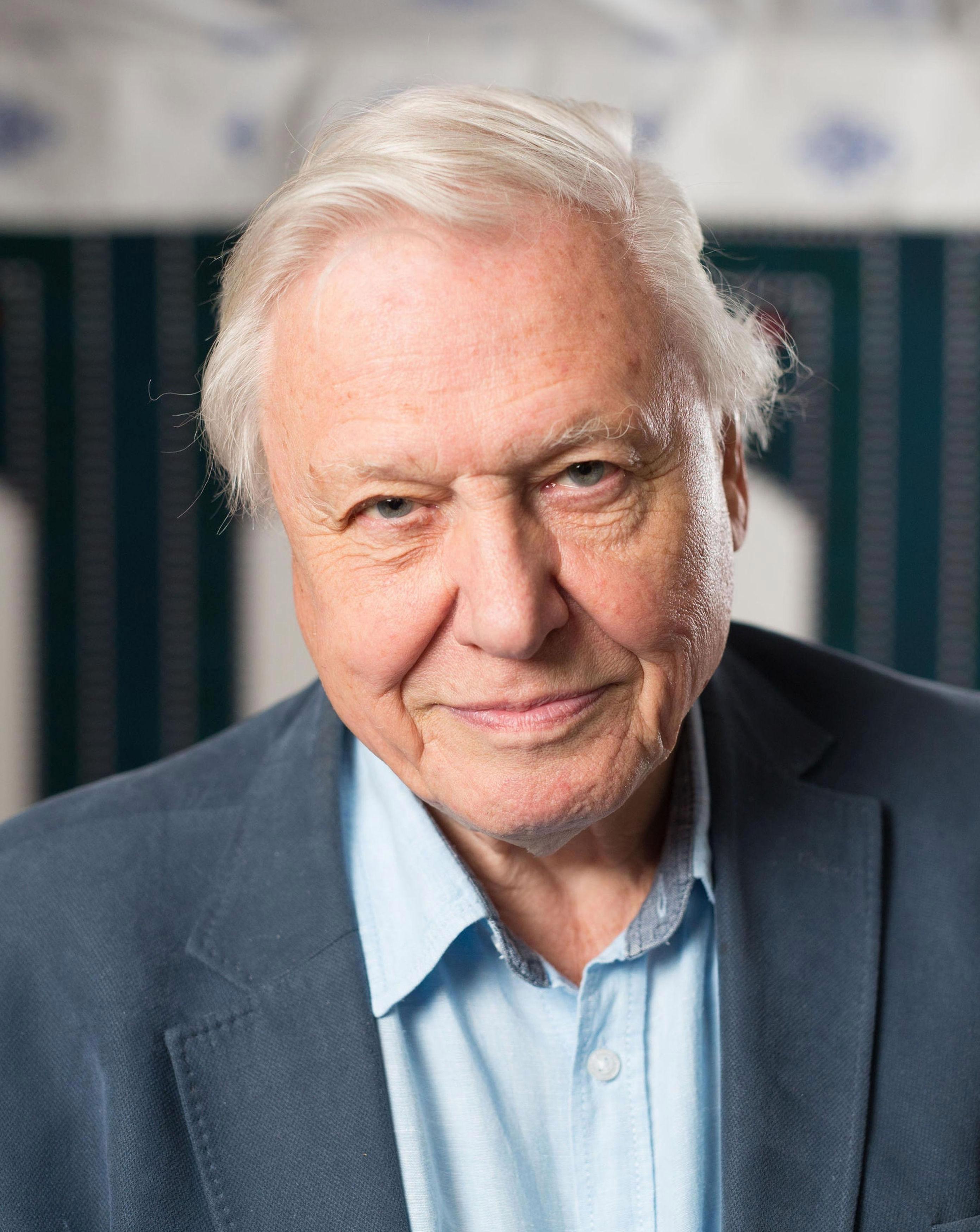 David Attenborough English Quizizz   8c310037 E027 4fe3 8fa9 2b5de628250e