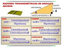 Funciones trigonométricas - Grado 10 - Quizizz