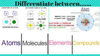 elements and compounds Flashcards - Quizizz