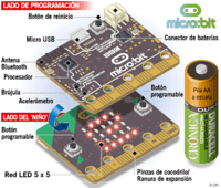 Codificación Tarjetas didácticas - Quizizz