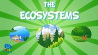 ecosystems - Year 3 - Quizizz