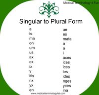 Posesivos plurales - Grado 11 - Quizizz