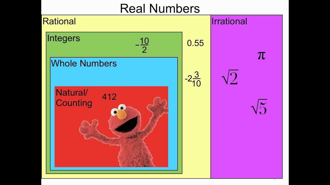 the-real-number-system-mathematics-quiz-quizizz