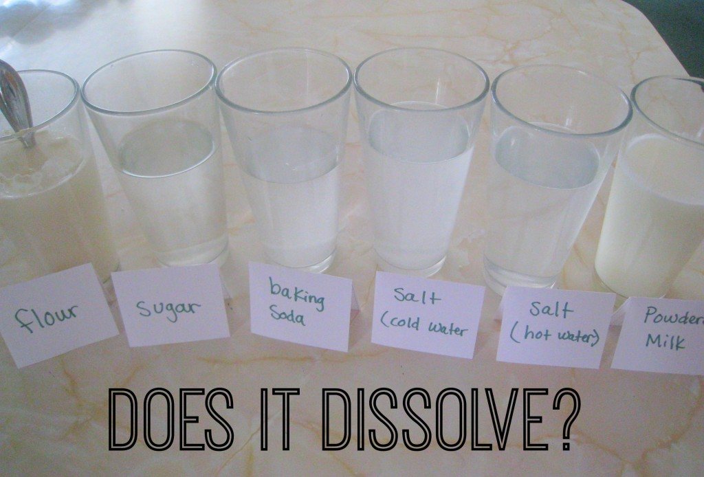 What Dissolves in Water? | Science - Quizizz