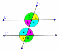 transversal de rectas paralelas - Grado 7 - Quizizz