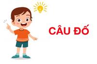 Câu đố toán học - Lớp 7 - Quizizz