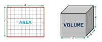 volume dan luas permukaan prisma - Kelas 7 - Kuis