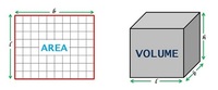 volume dan luas permukaan kerucut - Kelas 7 - Kuis