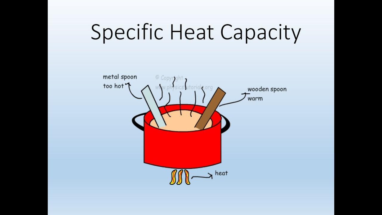 specific-heat-309-plays-quizizz