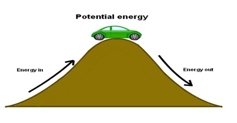 Potential Energy  Science Quiz  Quizizz