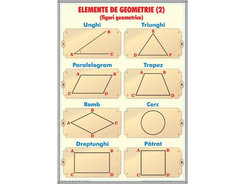 geometria clasa 7