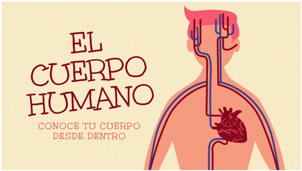 biología del comportamiento - Grado 9 - Quizizz