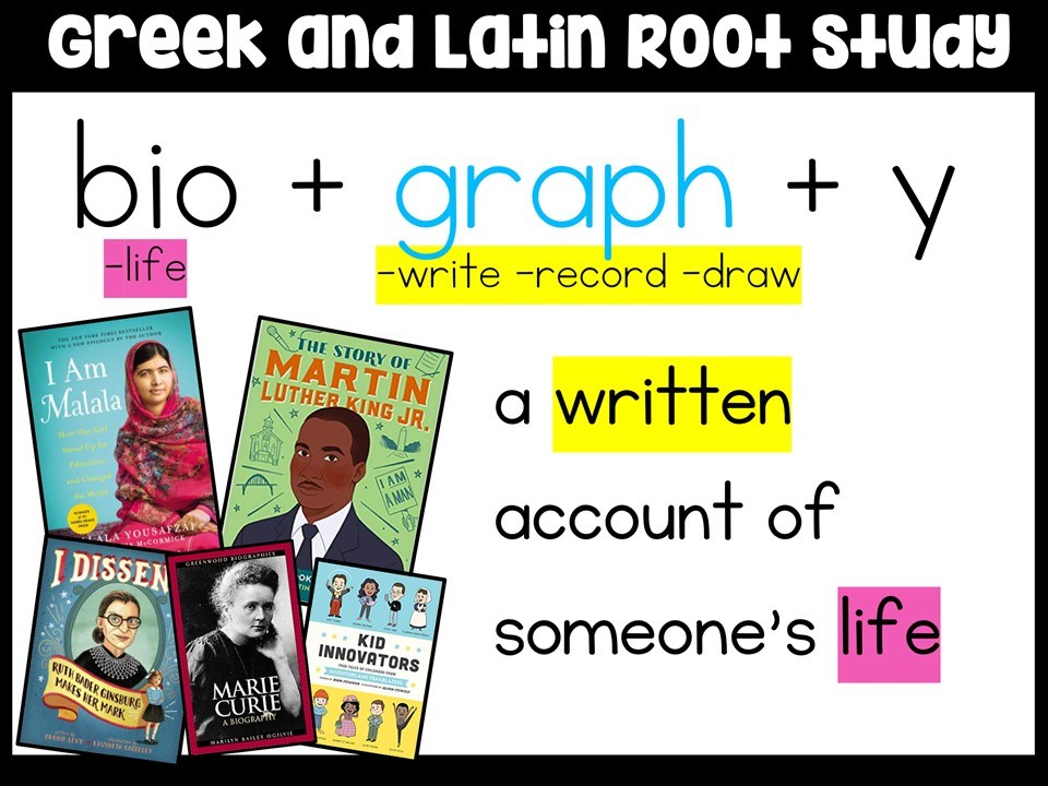 root-word-graph-english-quizizz