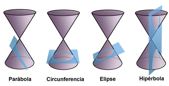 Secciones cónicas - Grado 8 - Quizizz