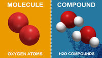 elements and compounds Flashcards - Quizizz