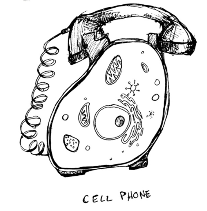 cell-review-cell-structure-quiz-quizizz