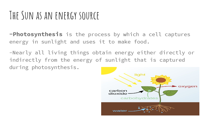 Photosynthesis | Science - Quizizz