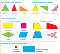 Figuras similares - Grado 3 - Quizizz