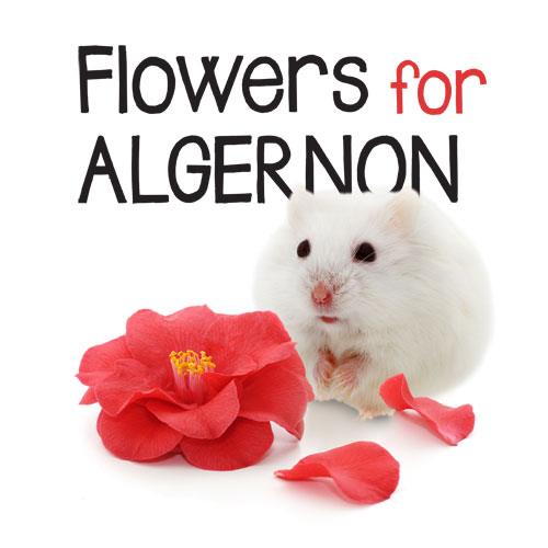 Flowers for Algernon Vocabulary | English Quiz - Quizizz