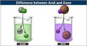 acids and bases - Year 11 - Quizizz
