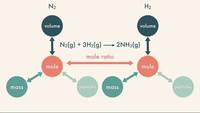 stoichiometry - Year 12 - Quizizz